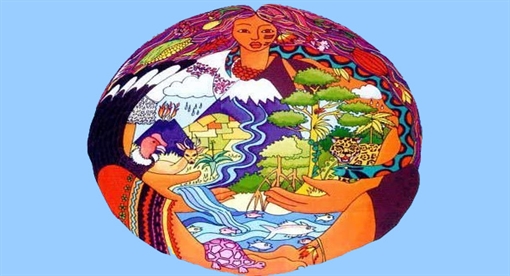 Afinal, o que é Ecofeminismo?